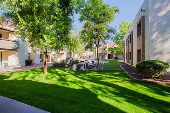 Picnic areas with bbq grills